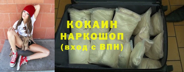 индика Алзамай