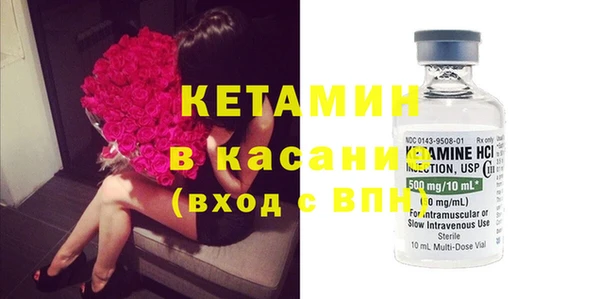 индика Алзамай