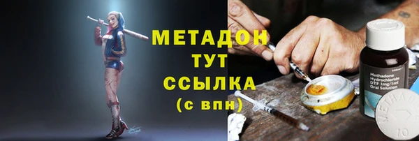 индика Алзамай