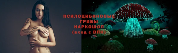 индика Алзамай