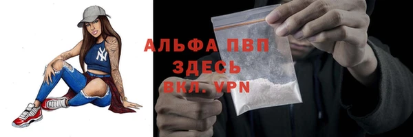 СК Новозыбков