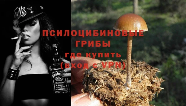 индика Алзамай