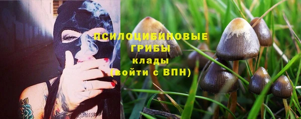 кокаин премиум Алексеевка